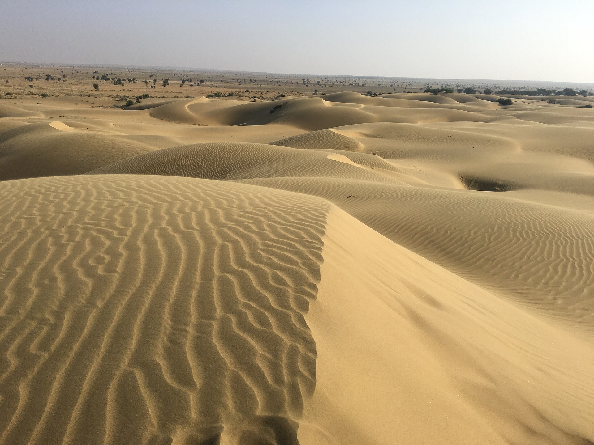 Christmas on the Dunes — desert experience in Jaisalmer