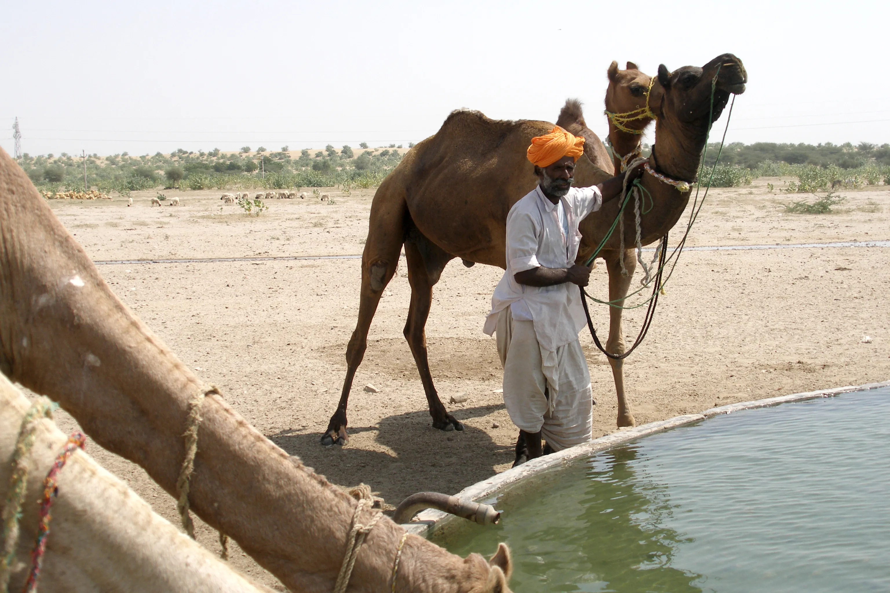 Haunted Trail — an exotic Thar desert tour near Jaisalmer