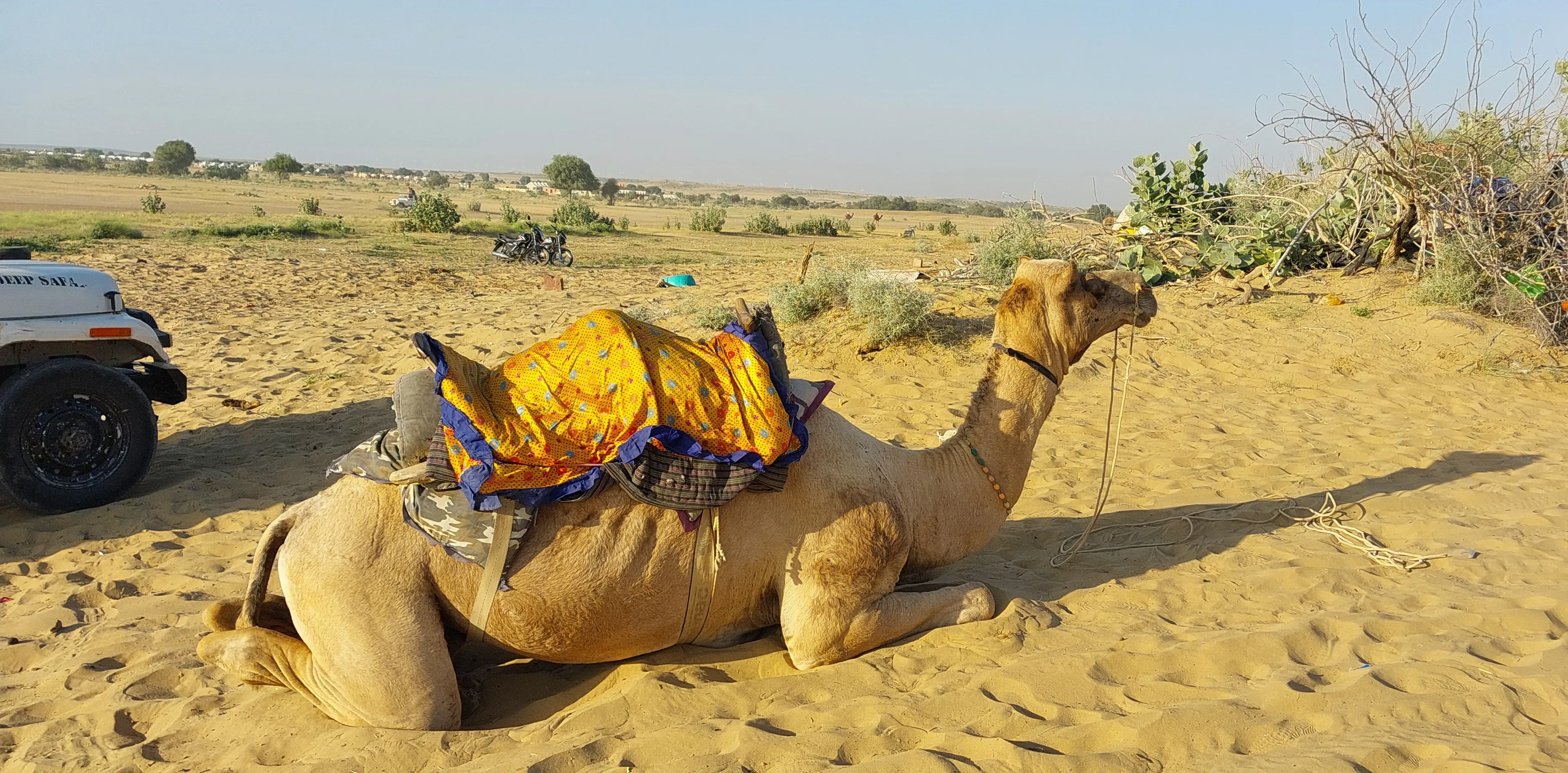 Jaisalmer Fort, Jaisalmer