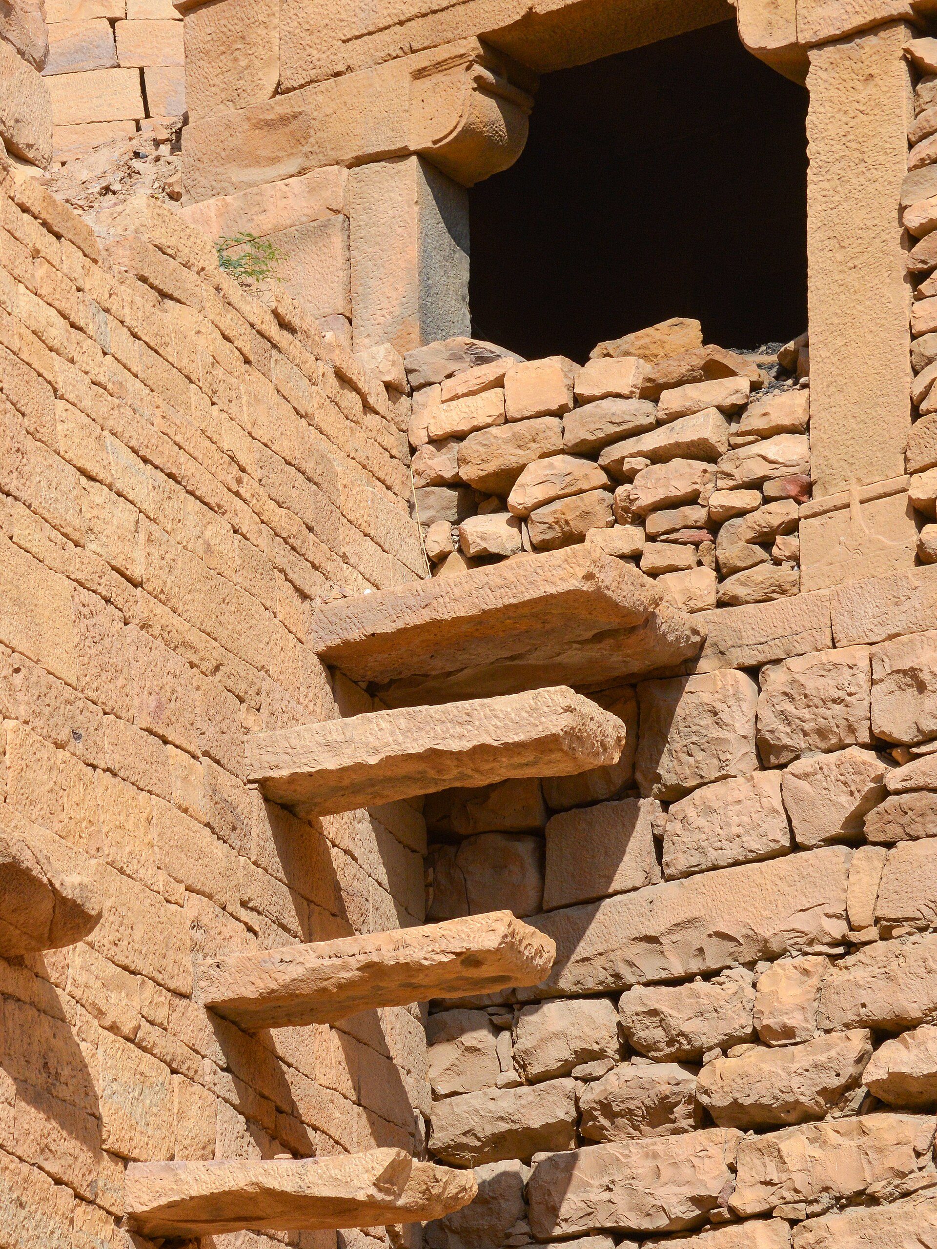 Real Desert Camel Safari — desert experience in Jaisalmer